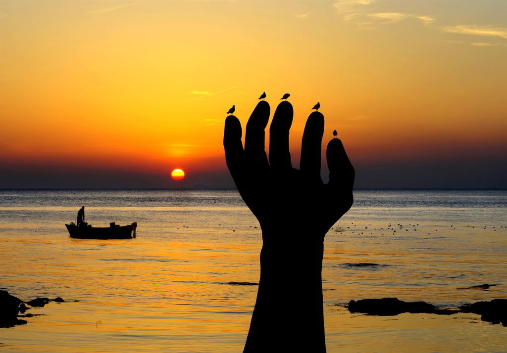 POSTECH Homigot Sunrise